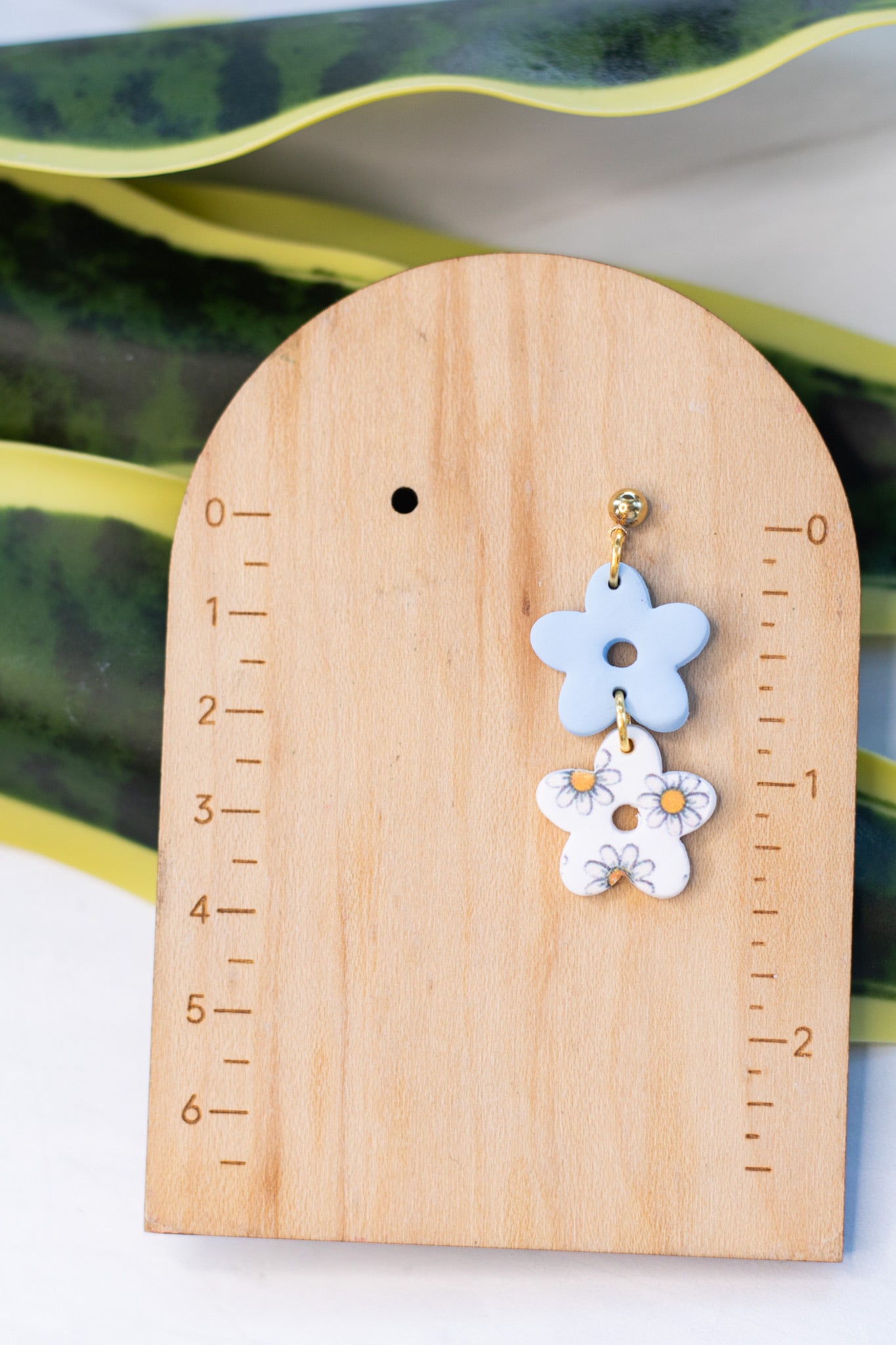 Printed Daisy Collection