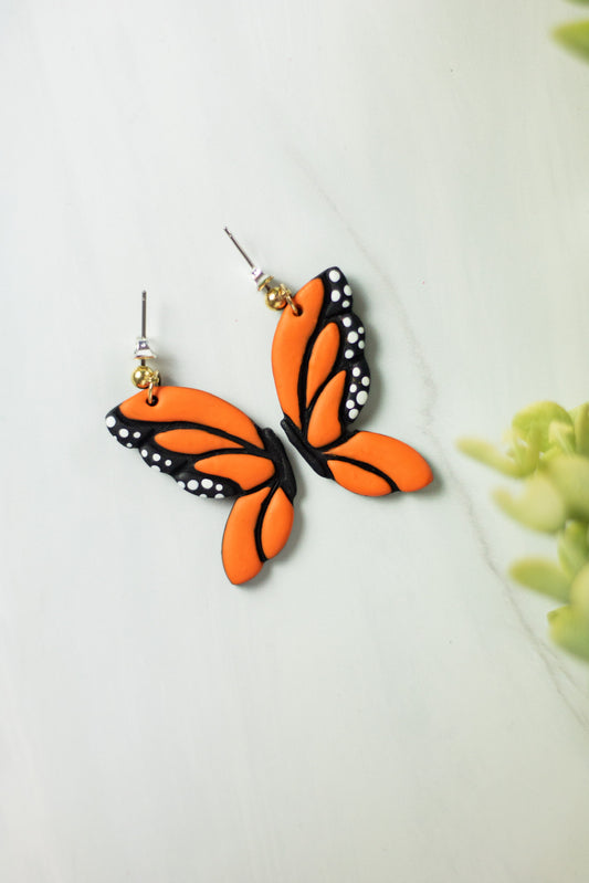 WS Butterfly